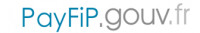 PayFIp_logotype.jpg